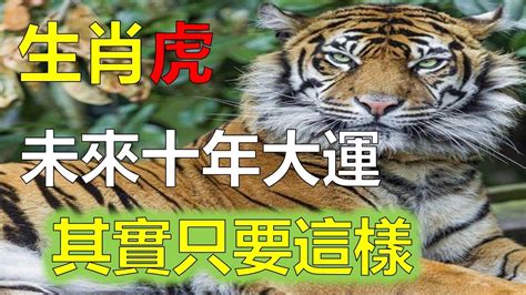 1974屬虎幸運顏色|74属虎人永远最旺的颜色，74年虎接触什么颜色最好 